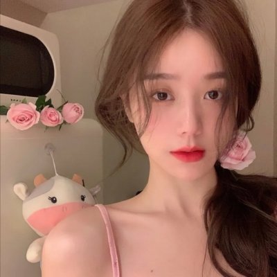 菜鸟总动员