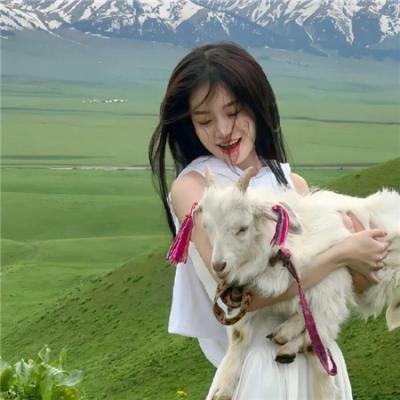 烽火雁翎