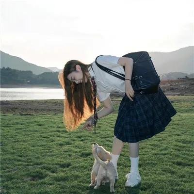 神犬出击